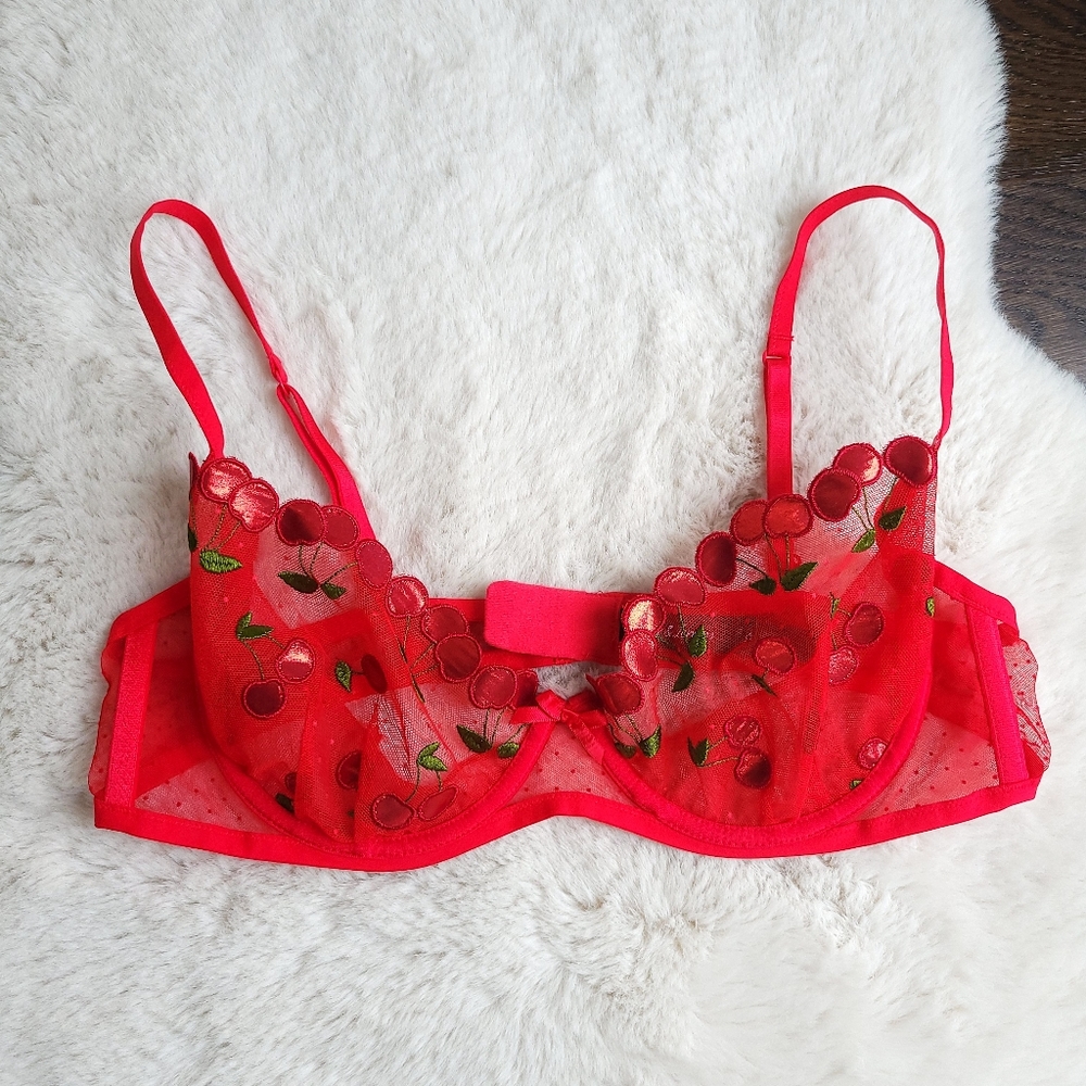 For Love & Lemons Cerise Cherry Embroidered Mesh Bra - Picture 2 of 10